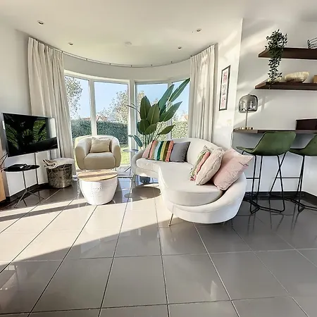 Schildknaap Ref 50 * קוקסיידה